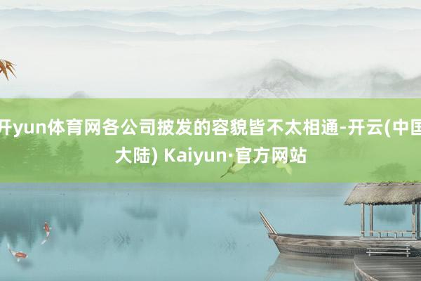 开yun体育网各公司披发的容貌皆不太相通-开云(中国大陆) Kaiyun·官方网站