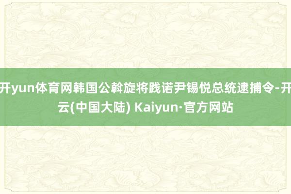 开yun体育网韩国公斡旋将践诺尹锡悦总统逮捕令-开云(中国大陆) Kaiyun·官方网站