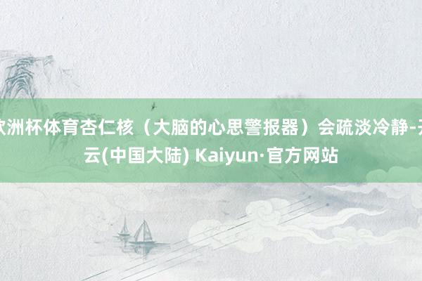 欧洲杯体育杏仁核（大脑的心思警报器）会疏淡冷静-开云(中国大陆) Kaiyun·官方网站